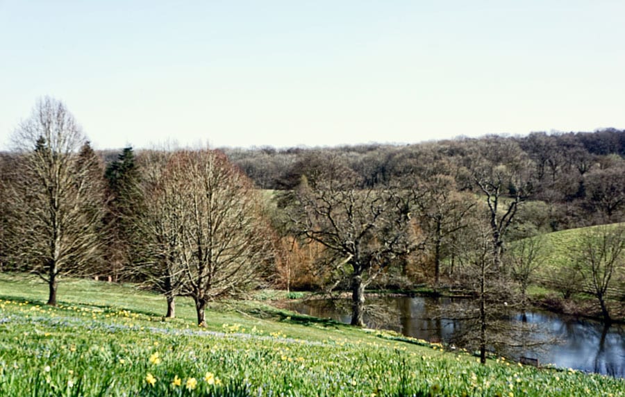 Gravetye-Manor-lake-and-wild-meadow