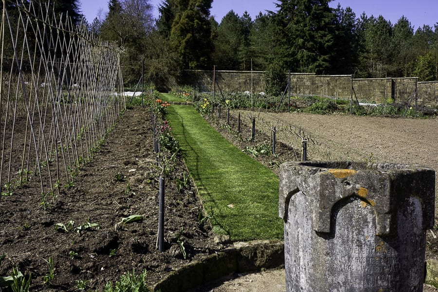 Gravetye kitchen garden stone urn and path