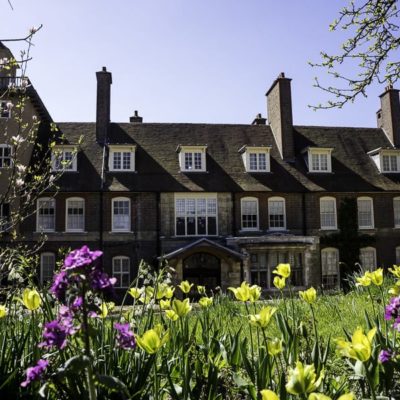 A riot of tulips at Standen House