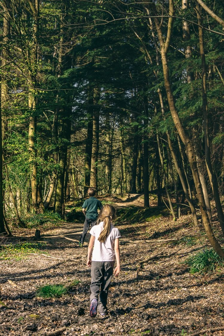 Nature benefits children in woodlands