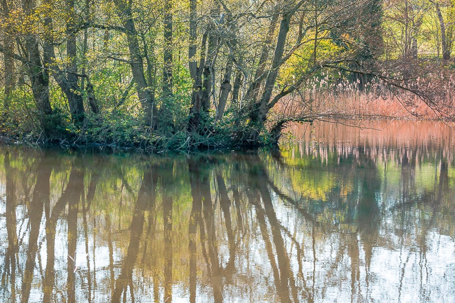 Nature benefits children lake reflection