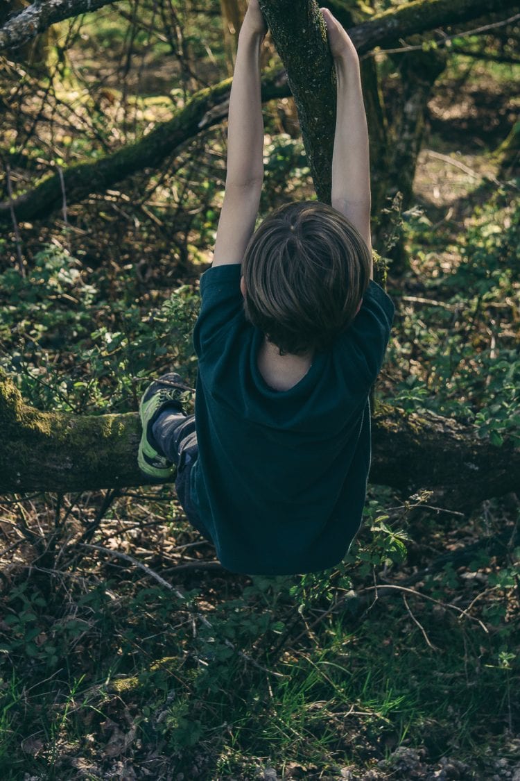 Nature benefits children tree climbing