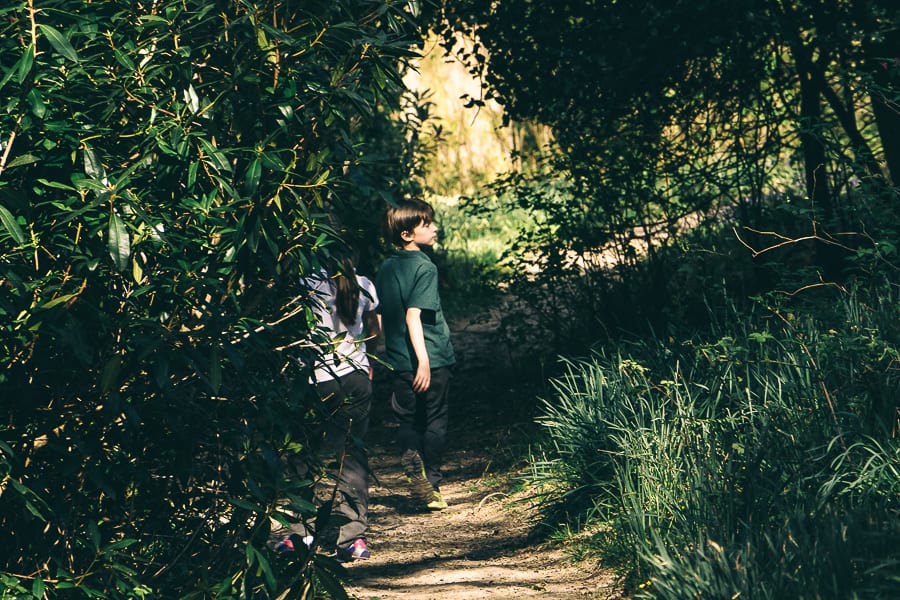 Nature benefits children wood path