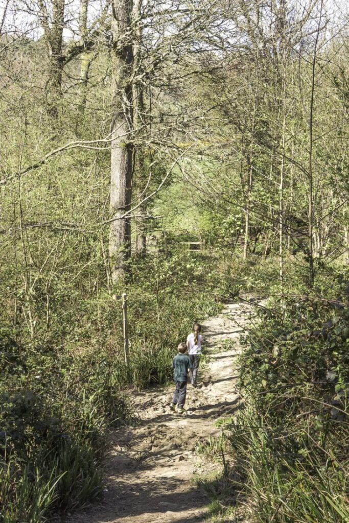 Nature walk with children outdoors