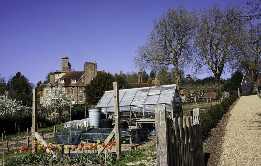 tanden and kitchen garden