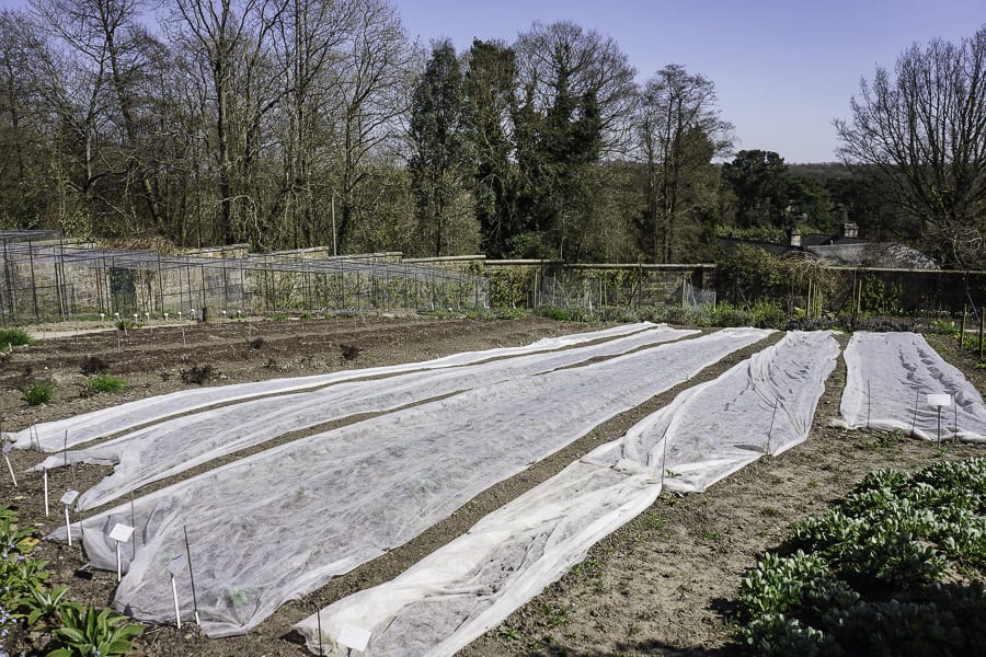 vegetable patch Gravetye Manor