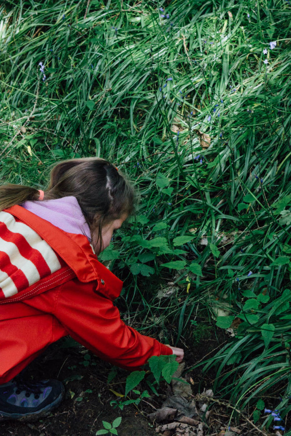 Finding nature treasure