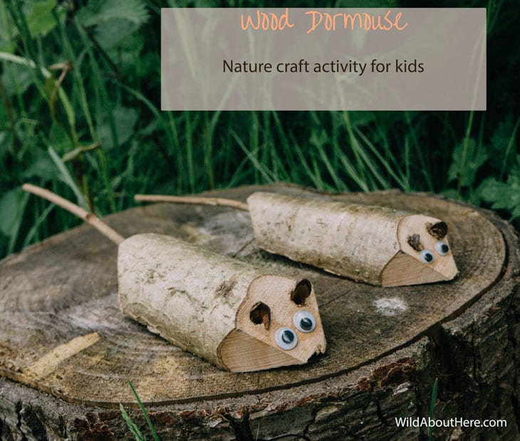 How to make a wood dormouse