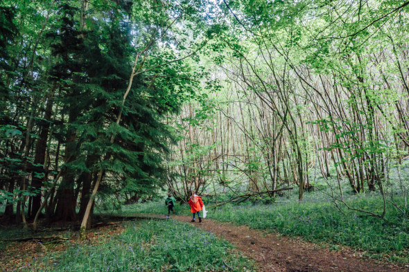 Kids on nature treasure hunt in woods