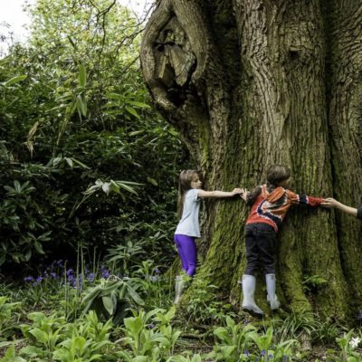 Luce and Theo hugging ancient oak