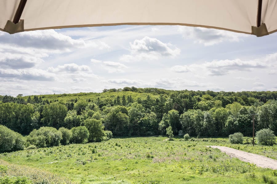 Valley view with umbrella