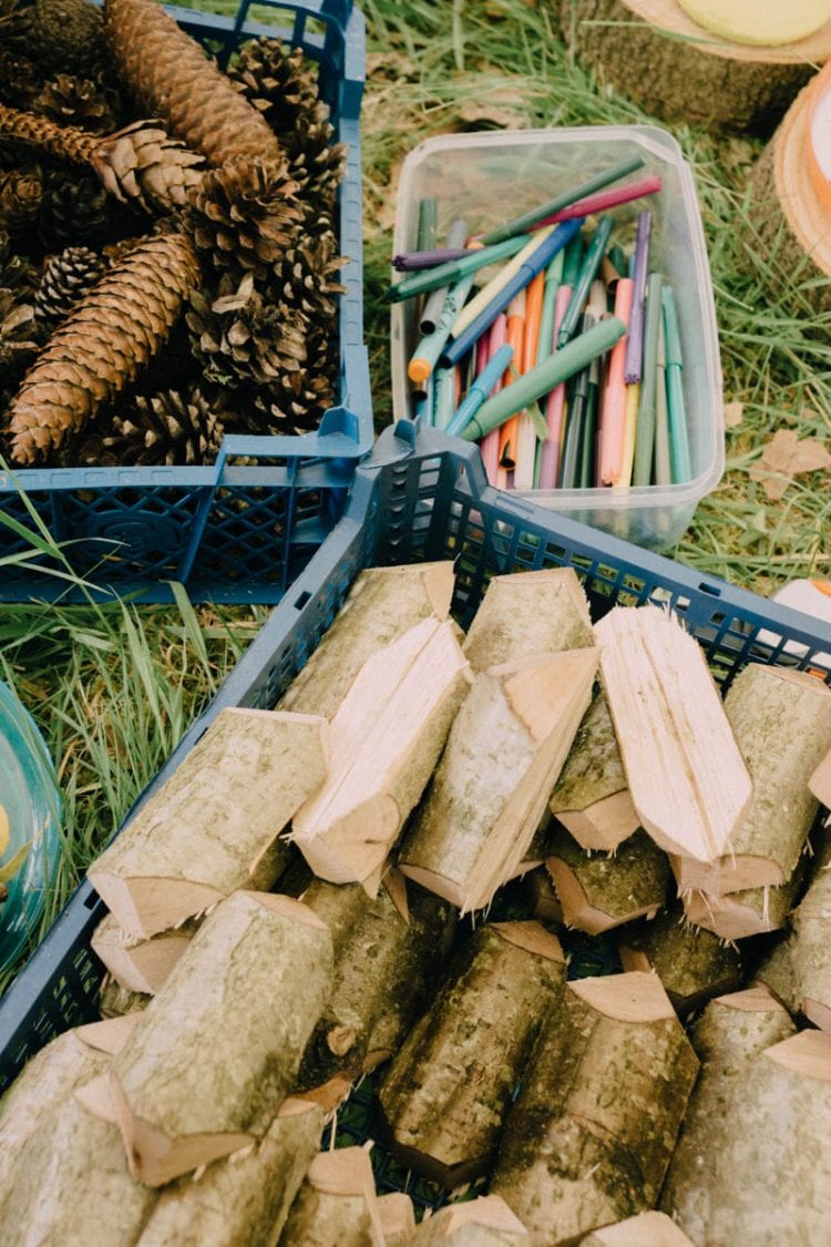 Hazel wood and cones for dormouse