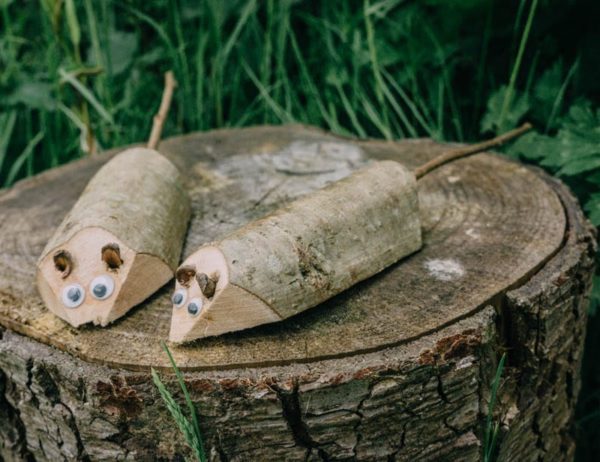 Wood dormice on log