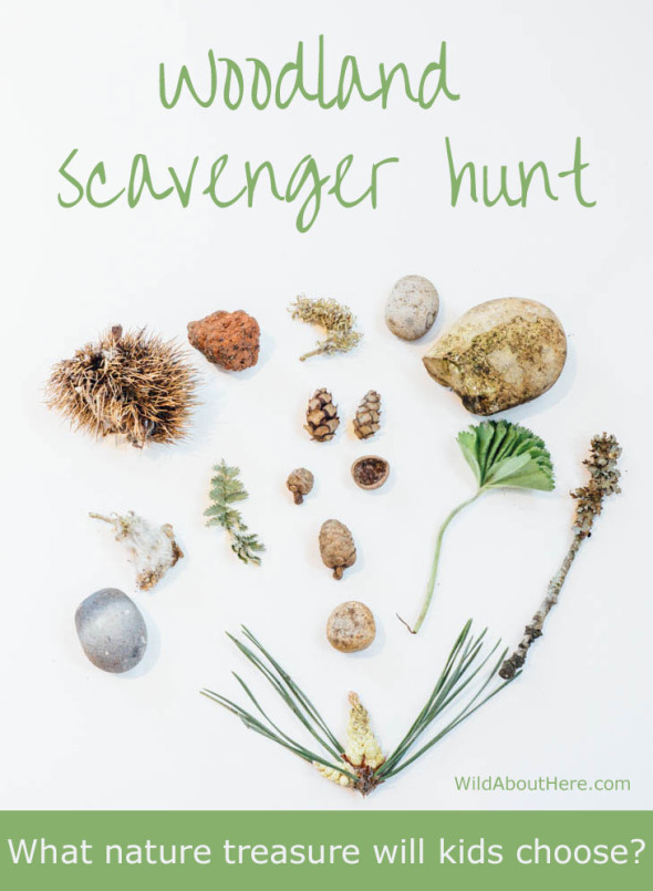 Woodland scavenger hunt