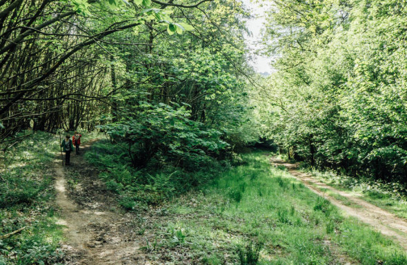 Woodlands scavenger hunt following trails
