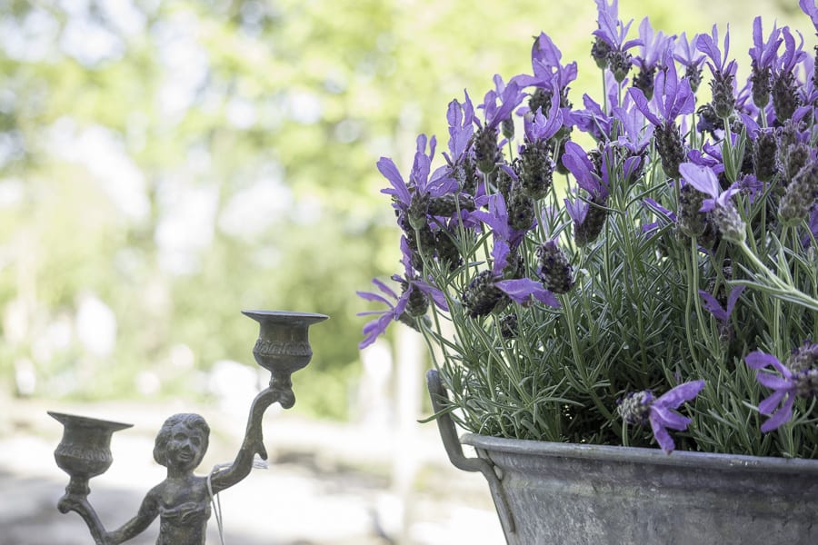 Spring Fayre flower pot and antique