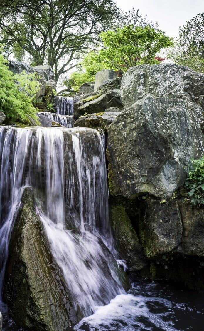 Waterfall at RHS Wisley