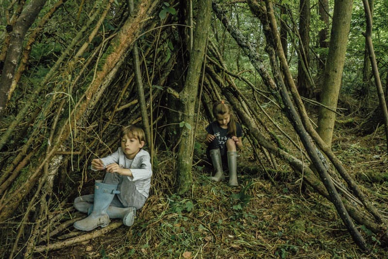 Den building in the woods