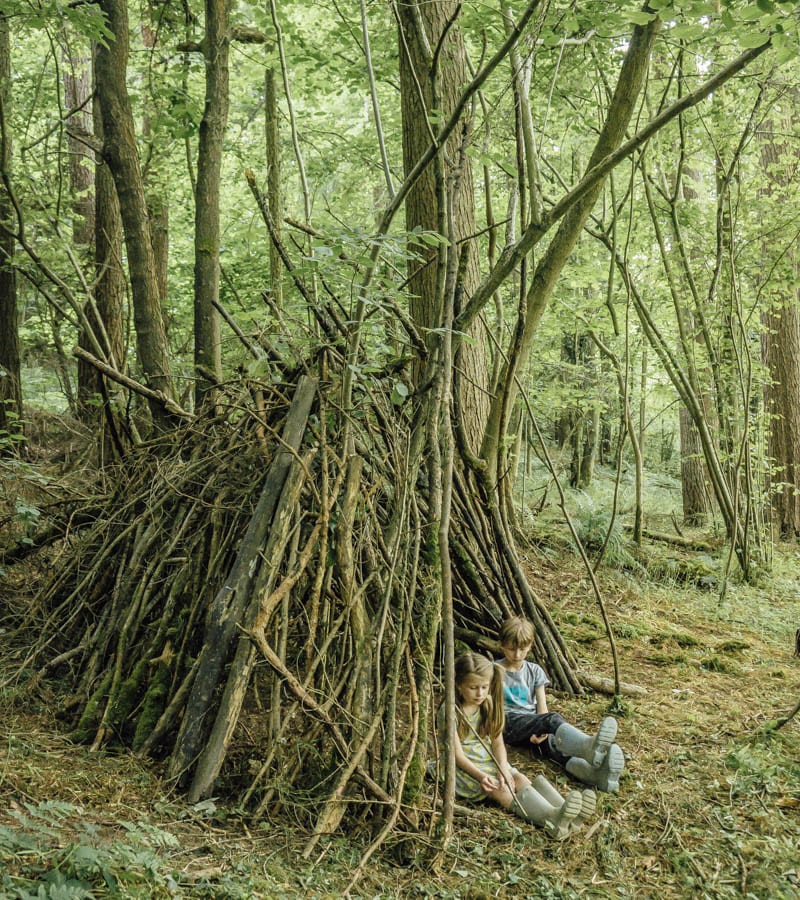 Den building in woods