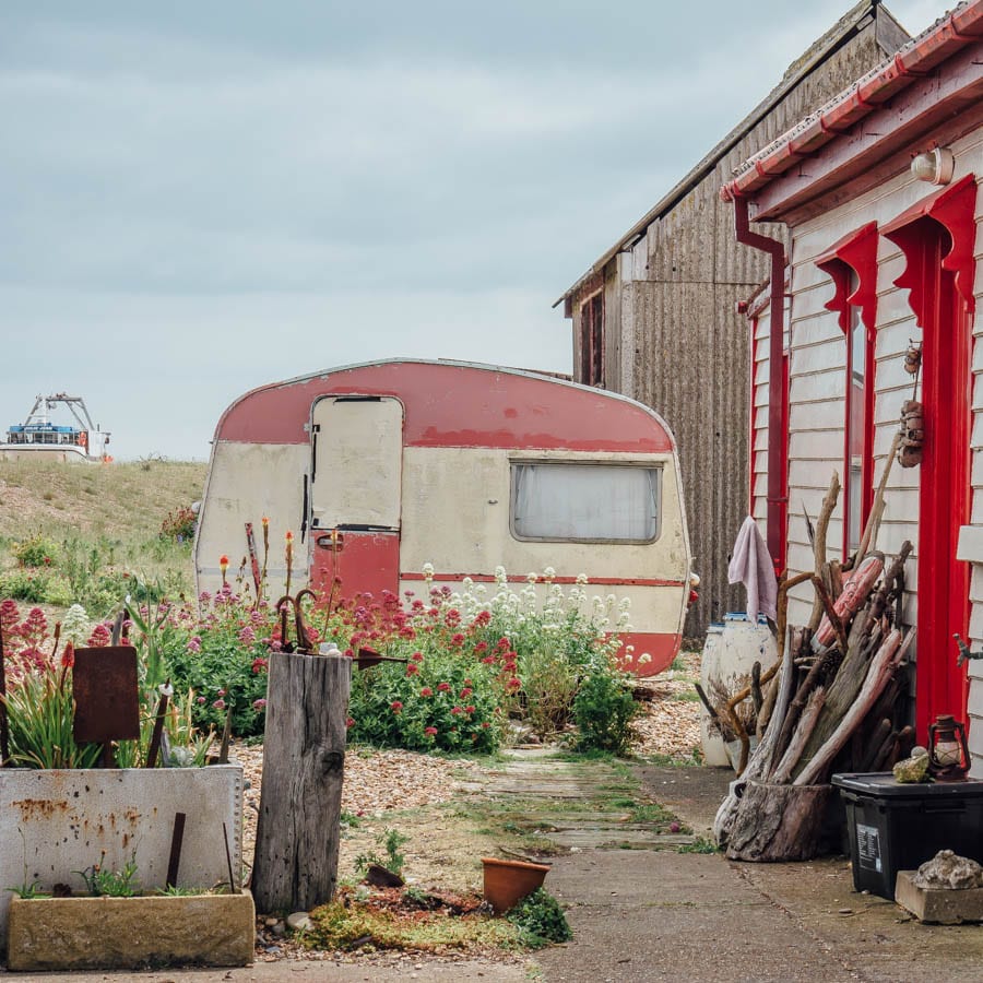 Dungeness flowers and cottage garden