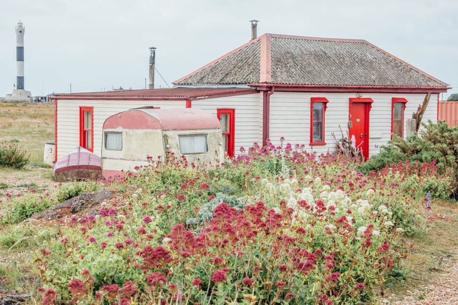 Dungeness flowers and red white cottage