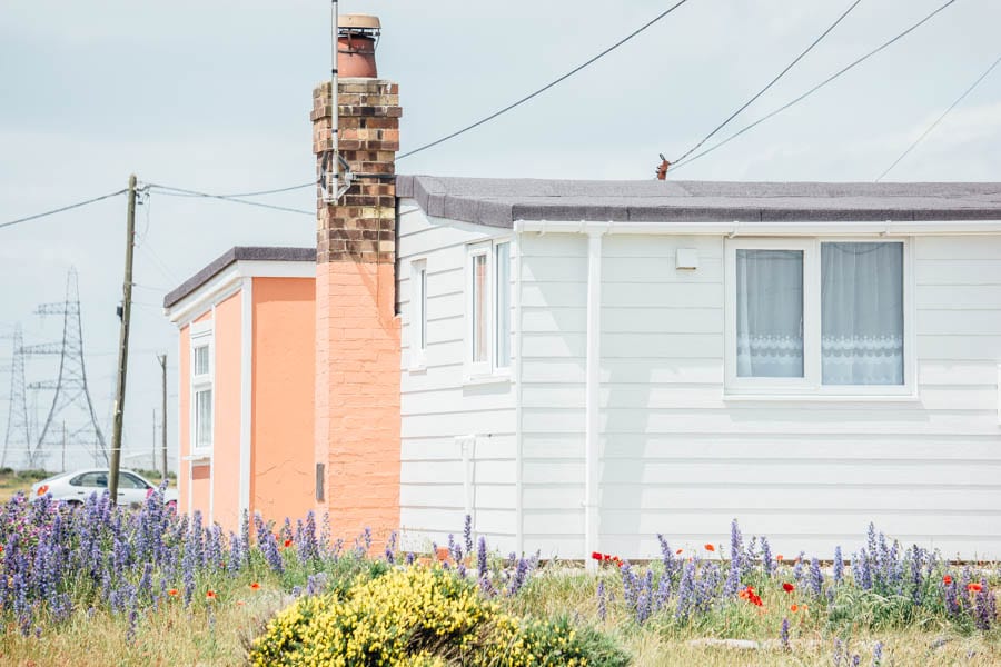Dungeness flowers and white cottage