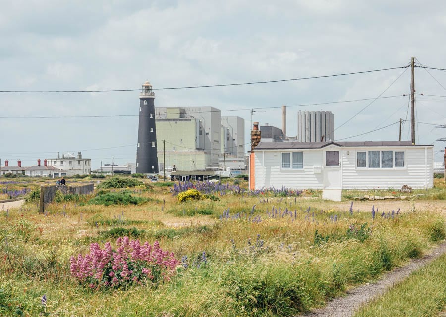 Dungeness flowers house and nuclear