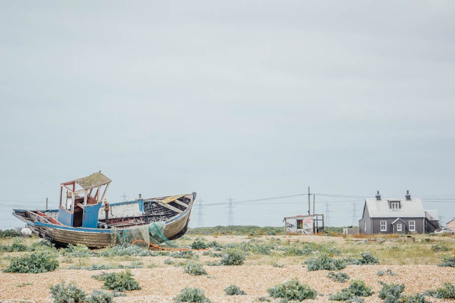 Dungeness flowers shrubs boat house