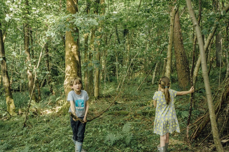 Finding branches for den building