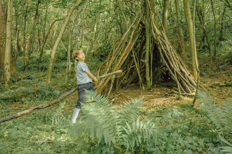 Large branch for den