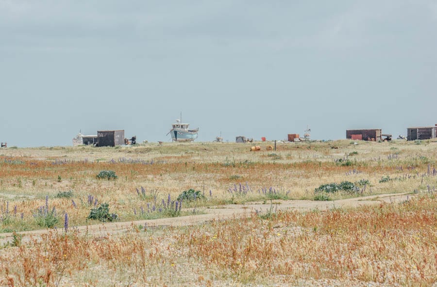 Shingle landscape and boats Dungeness