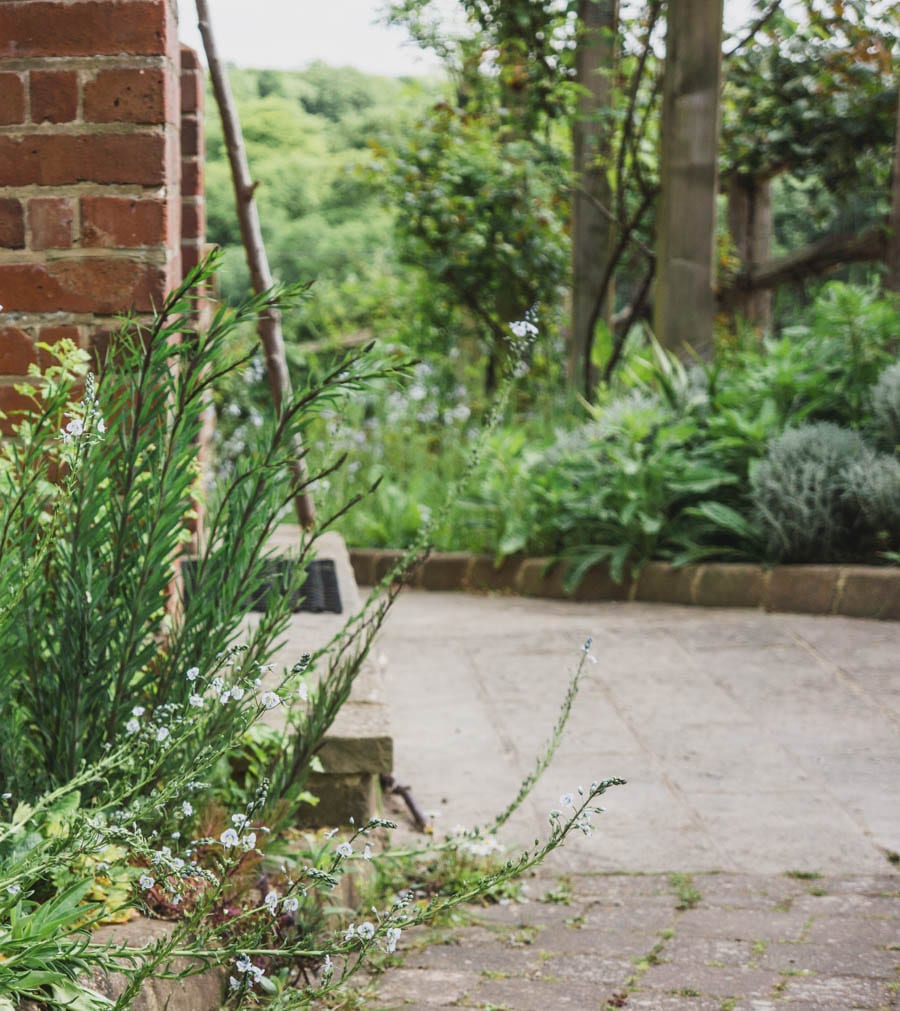 Stick and flowers by back door