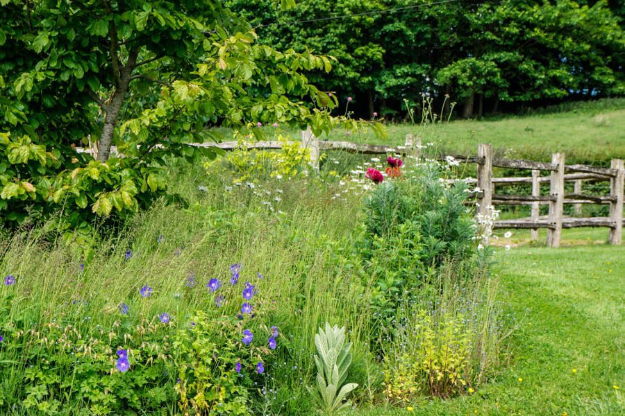 Top flowerbed in my garden