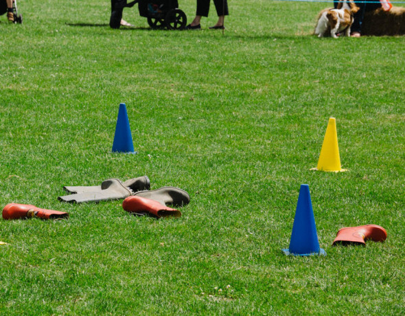 Welly wanging competition at village fair