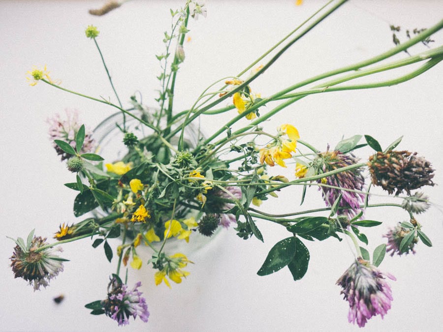 Wild flowers in jar from above