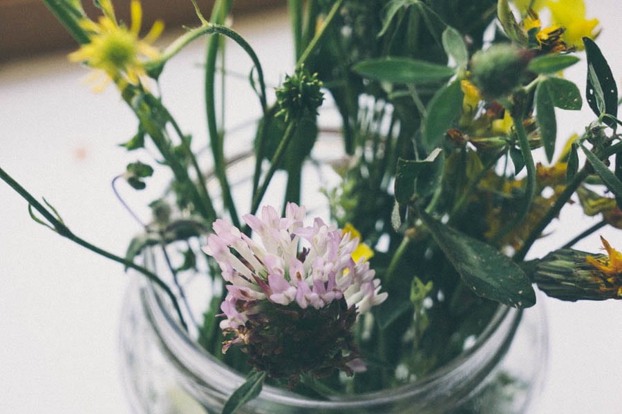glass jar with wild flowers