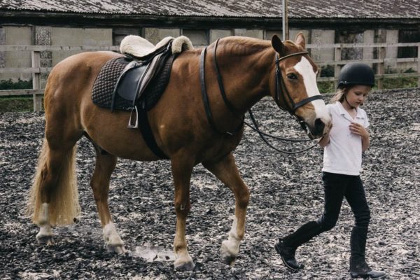 After the riding lesson