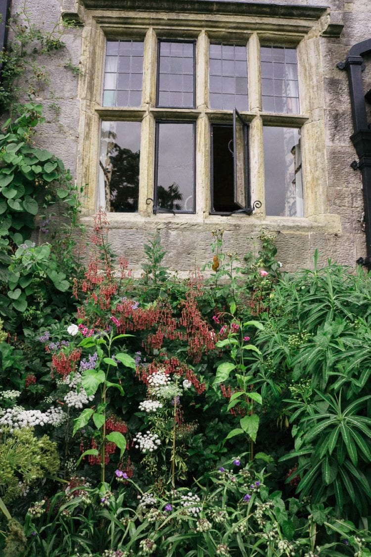 Flower bed below Gravetye window in summer