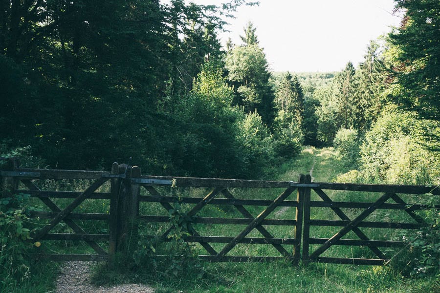 Gate to wood path