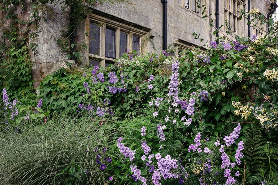 Gravetye Manor wall with climbing flowers