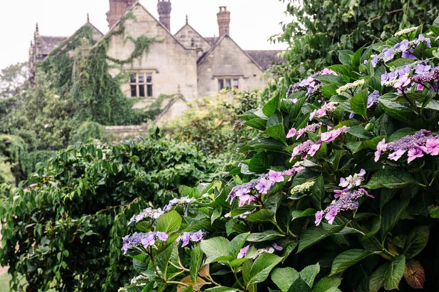 Hydrangeas and Gravetye Manor Hotel in the rain