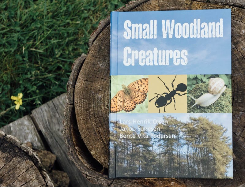 Small Woodland Creatures by Olsen Sunesen Pedersen