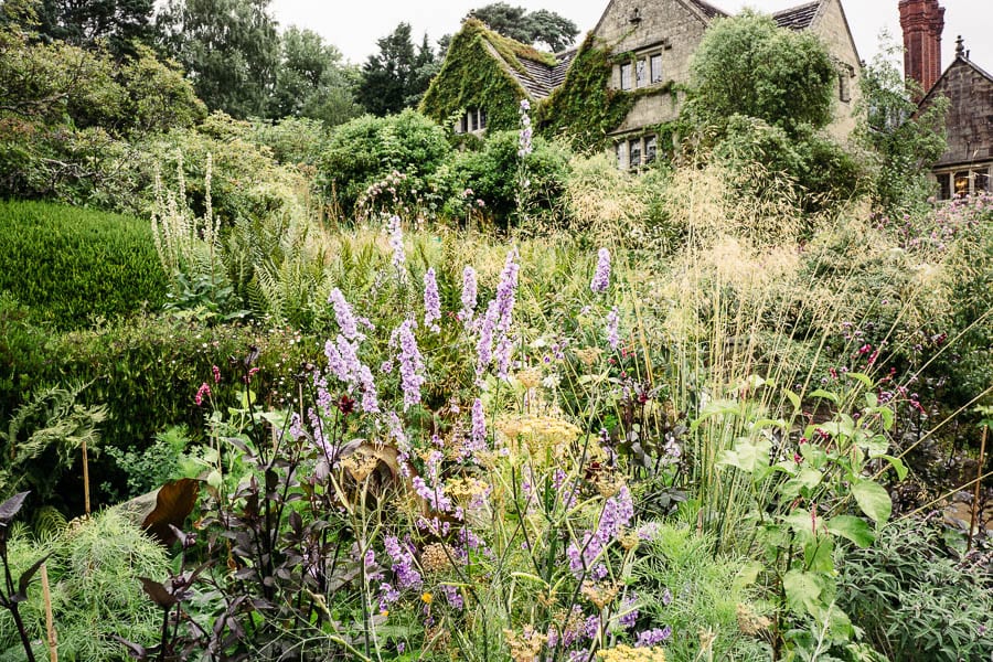 Wild garden flowerbed infront  Gravetye Manor