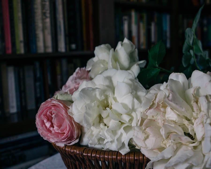 Basket of roses