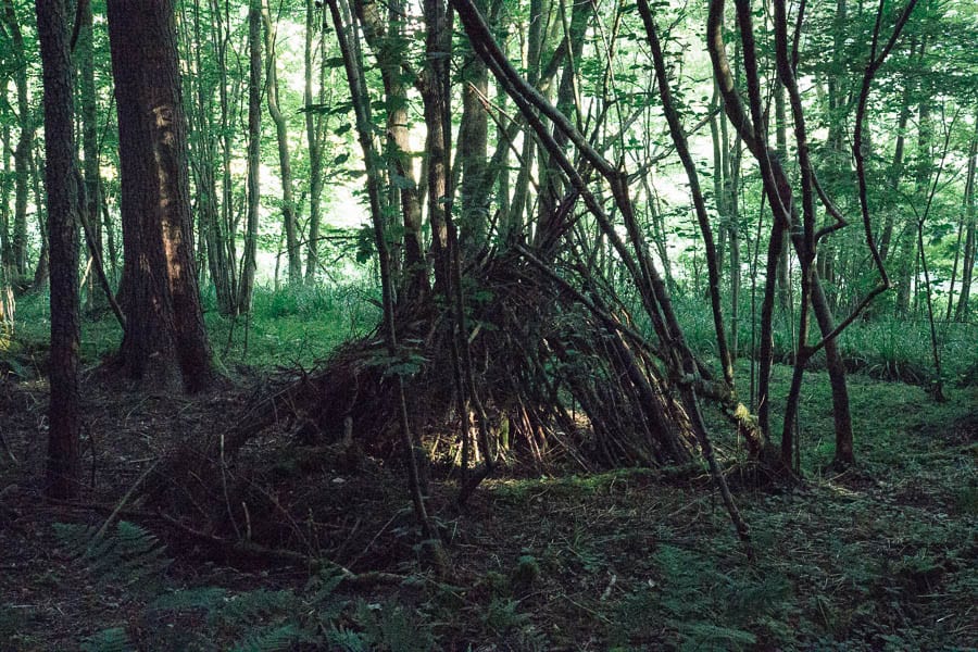 den in woods