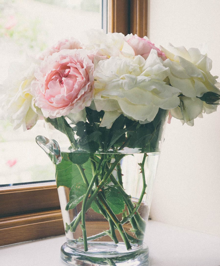 Vase with pink and white roses