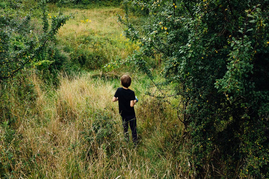 Theo searching for blackberries