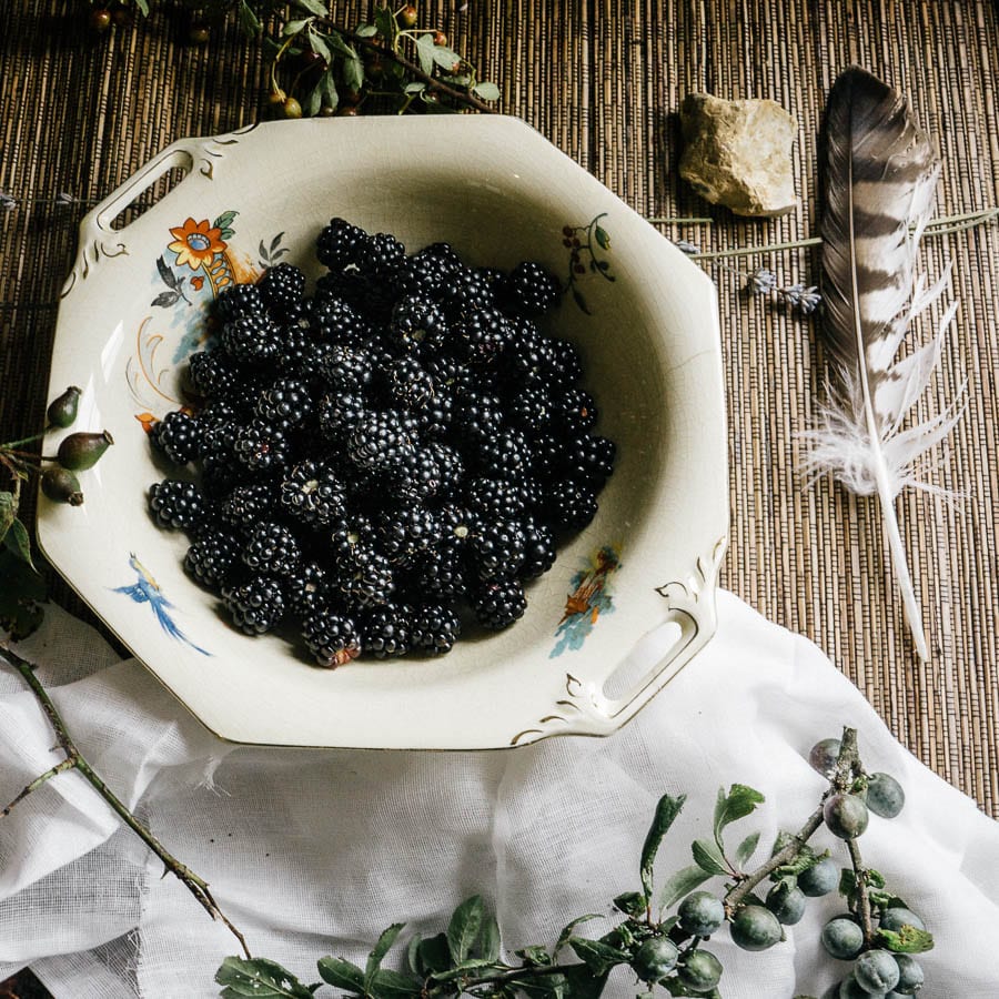 Blackberries in foraging still life