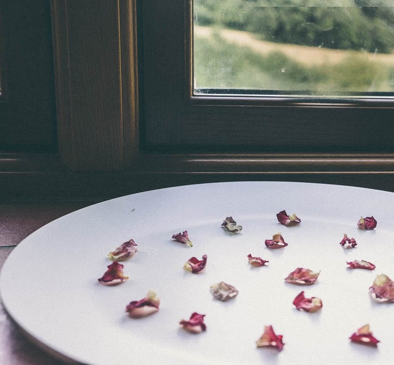 Drying rose petals next to window