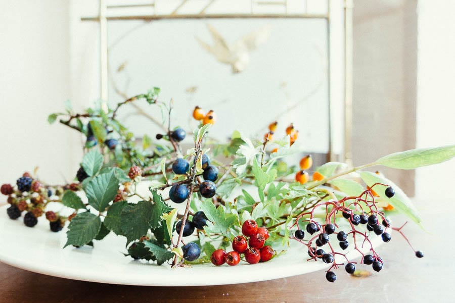 Fruits and more from hedgerow foraging